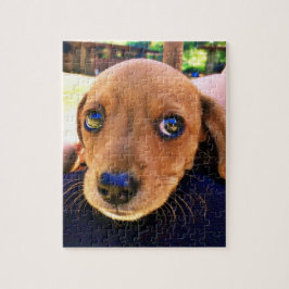 Quebra-cabeça Cachorro Cachshund Puppy Castanho