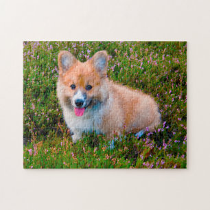 Quebra-cabeça Cachorro Corgi.