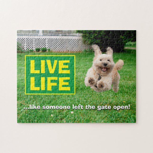 Quebra-cabeça Cachorro Correndo Em Jardim (Horizontal)