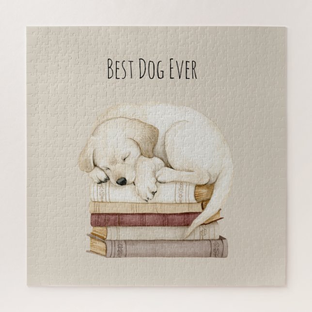 Quebra-cabeça Cachorro Creme Dormindo em Livros (Vertical)