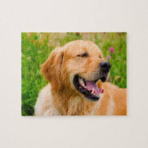 Quebra-cabeça Cachorro da raça Retriever dourado.