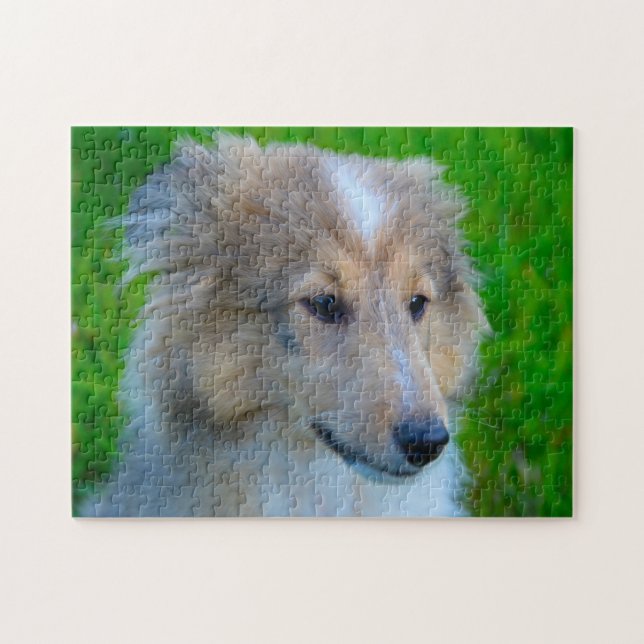 Quebra-cabeça Cachorro de Pastoreio Shetland Jigsaw. (Horizontal)