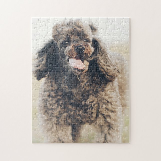 Quebra-cabeça Cachorro De Poodle Bonito Rosto Sorria Sorriso (Vertical)