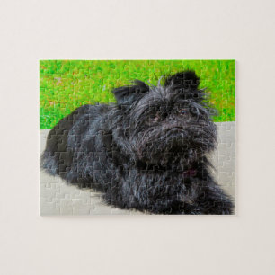 Quebra-cabeça Cachorro de raça pura Affenpinscher.