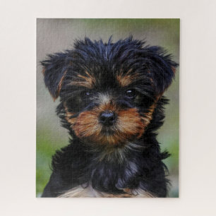 Quebra-cabeça Cachorro de Yorkie