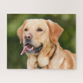 Quebra-cabeça Cachorro do Retriever Labrador Amarelo - Laboratór