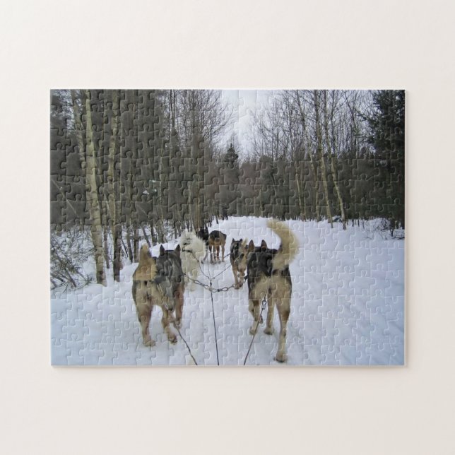 Quebra-cabeça Cachorro Dormindo em Quebec, Canadá (Horizontal)