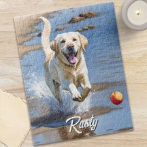 Cachorro dourado Retriever Busca Aquarela Praia