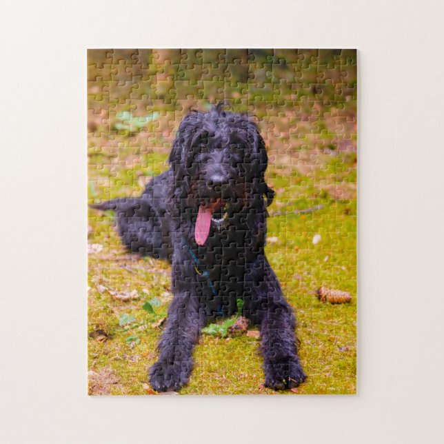 Quebra-cabeça Cachorro Labradoodle. (Vertical)