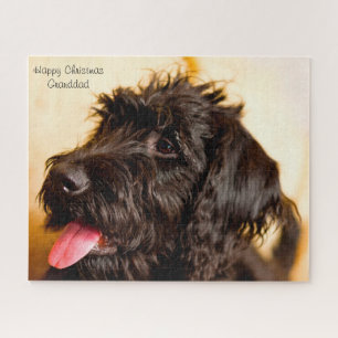 Quebra-cabeça Cachorro Labradoodle.