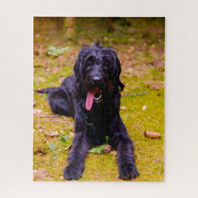 Quebra-cabeça Cachorro Labradoodle. (Vertical)