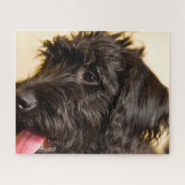 Quebra-cabeça Cachorro Labradoodle. (Horizontal)