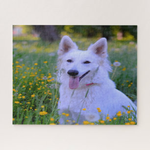 Quebra-cabeça Cachorro Pastor Suíço Branco Jigsaws.