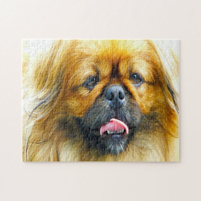 Quebra-cabeça Cachorro Pekinês. (Horizontal)