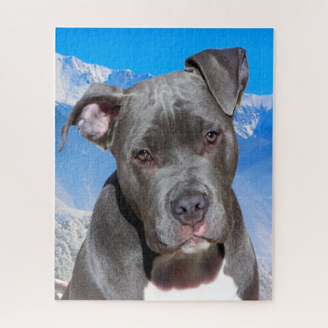 Quebra-cabeça Cachorro Pitbull. (Vertical)