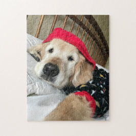 Quebra-cabeça Cachorro-recuperador de Ouro bonito de pijama