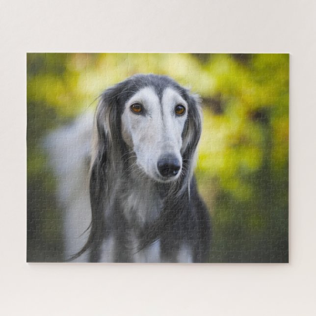 Quebra-cabeça Cachorro Saluki Jigsaws. (Horizontal)