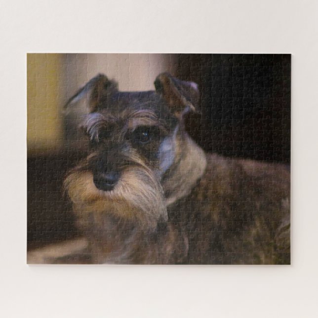 Quebra-cabeça Cachorro Schnauzer Jigsaws. (Horizontal)