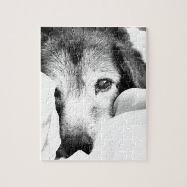 Quebra-cabeça cachorro sonolento abraçado na cama preto e branco (Vertical)