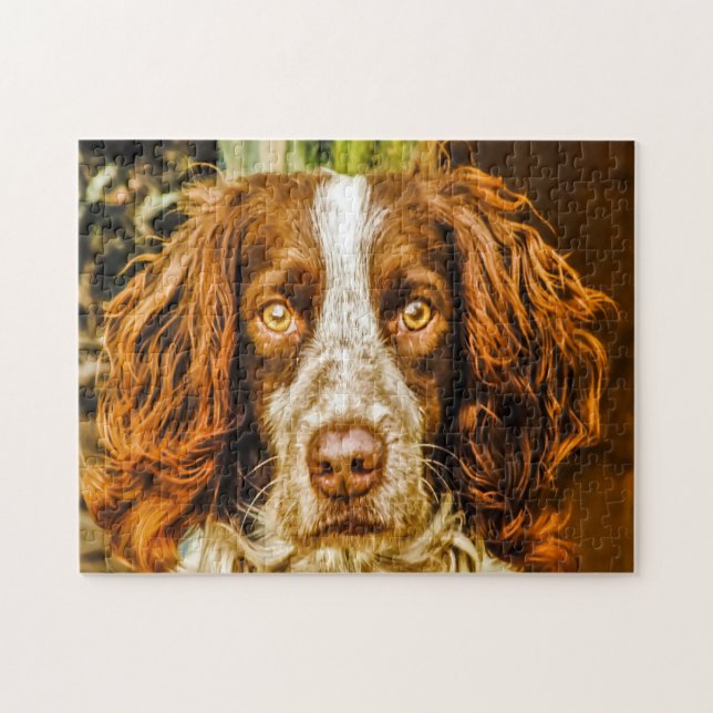 Quebra-cabeça Cachorros Espanhol Springer Jigsaws. (Horizontal)