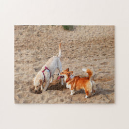Quebra-cabeça cachorros legais na praia