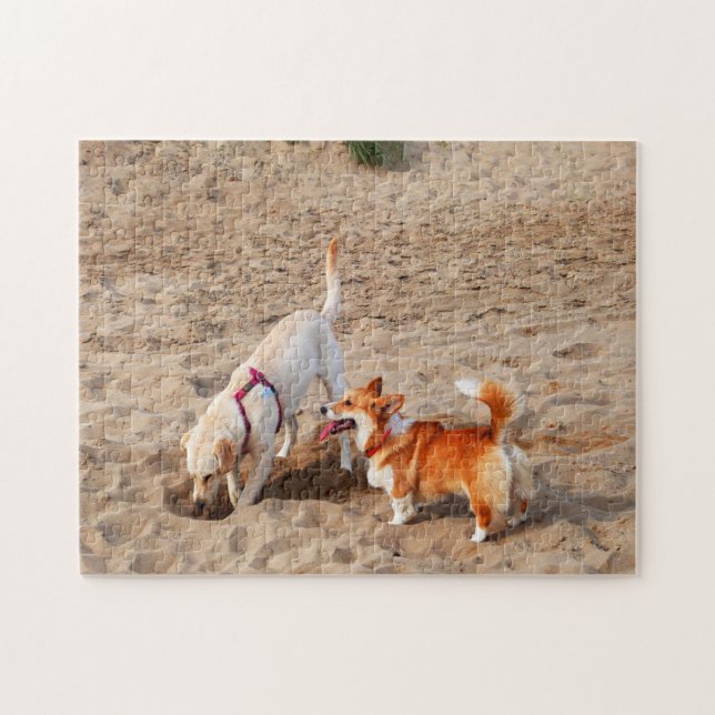 Quebra-cabeça cachorros legais na praia (Horizontal)