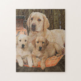 Quebra-cabeça cachorros lindos labradores