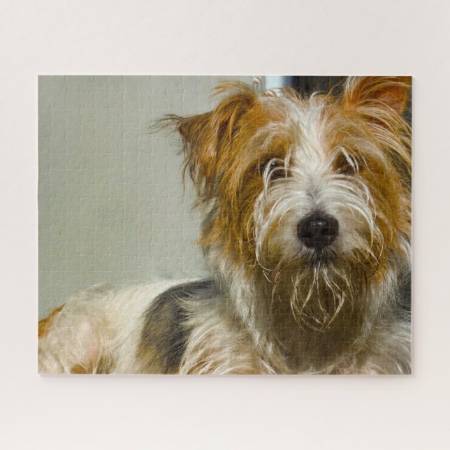 Quebra-cabeça Cachorros Westie Jigsaws (Horizontal)