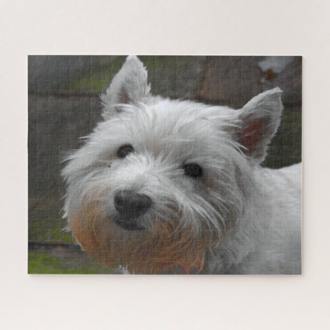 Quebra-cabeça Cachorros Westie Jigsaws (Horizontal)