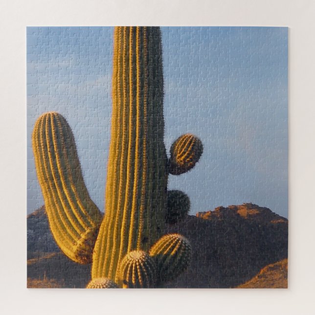 Quebra-cabeça Cacto Saguaro Iluminado pelo Sol (Vertical)