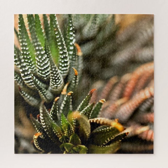 Quebra-cabeça Cacto Também  (Vertical)