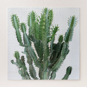 Quebra-cabeça Cacto Verde: Fundo Branco Minimalista