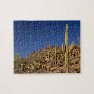 Quebra-cabeça Cactos do Saguaro e montanhas de Tucson, Tucson