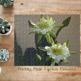 Quebra-cabeça Cactus Flowers Purgando Lossomas Fotográficas