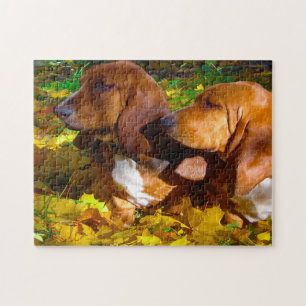 Quebra-cabeça Cães Basset Hound.