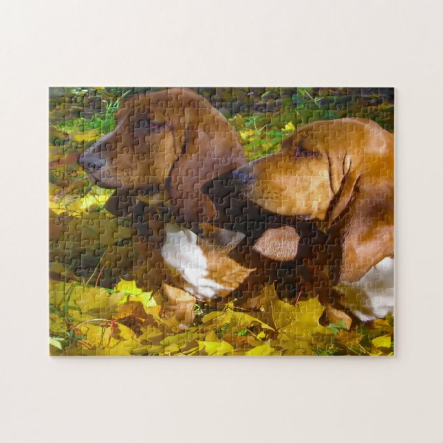 Quebra-cabeça Cães Basset Hound. (Horizontal)