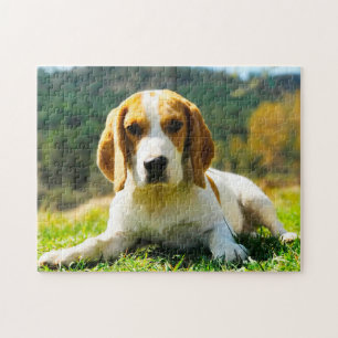 Quebra-cabeça Cães Beagle Hound.