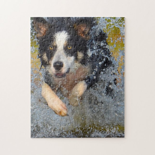 Quebra-cabeça Cães Border Collie. (Vertical)
