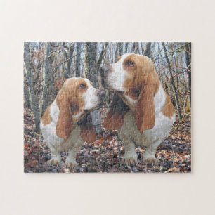 Quebra-cabeça Cães de Basset da floresta