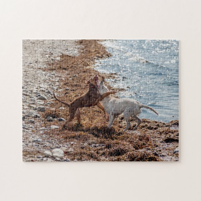 Quebra-cabeça Cães na praia (Horizontal)