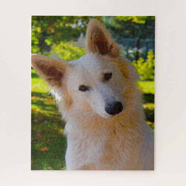 Quebra-cabeça Cães Pastor Suíço Branco Jigsaws. (Vertical)