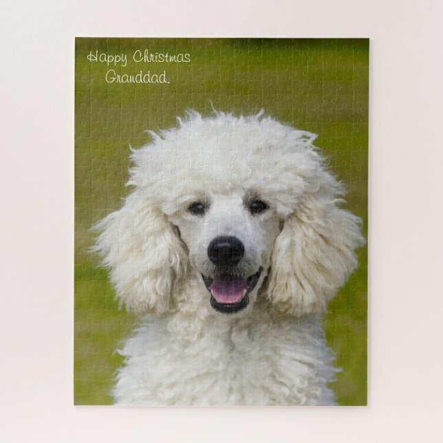 Quebra-cabeça Cães Poodle. (Vertical)