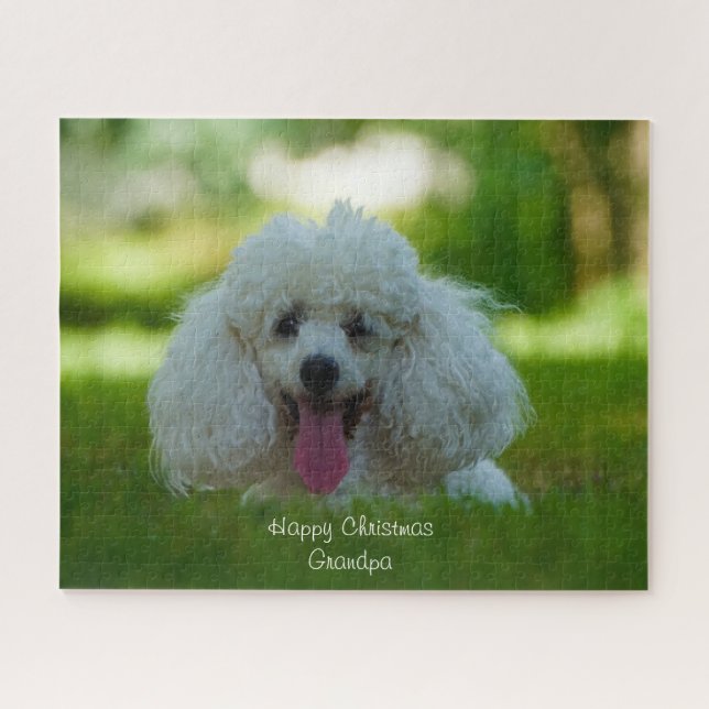 Quebra-cabeça Cães Poodle. (Horizontal)