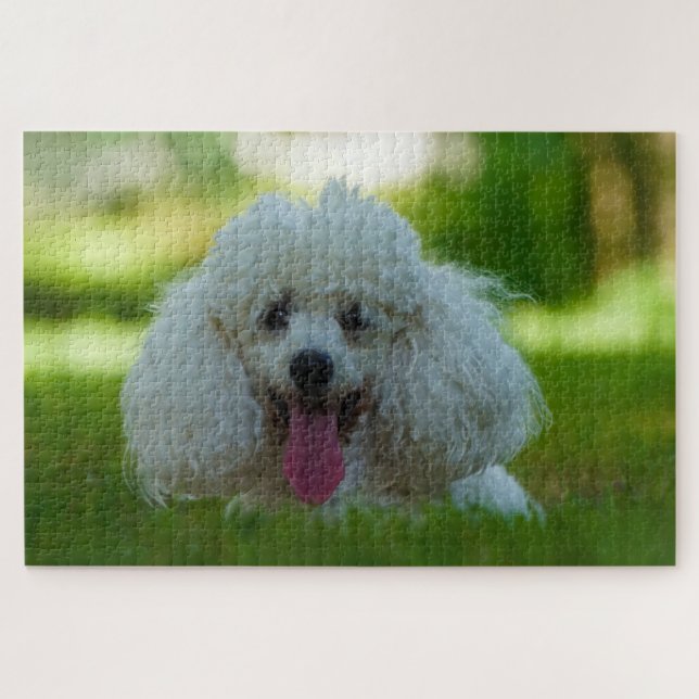Quebra-cabeça Cães Poodle. (Horizontal)