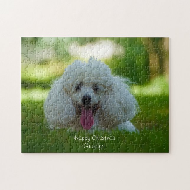 Quebra-cabeça Cães Poodle. (Horizontal)