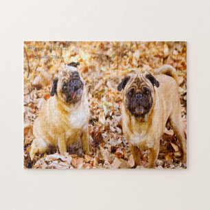 Quebra-cabeça Cães Pug.