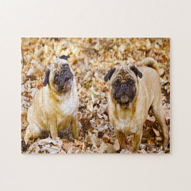 Quebra-cabeça Cães Pug. (Horizontal)