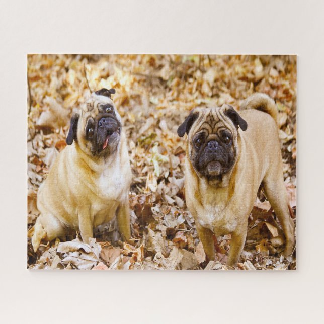 Quebra-cabeça Cães Pug. (Horizontal)