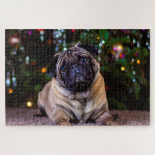 Quebra-cabeça Cães Pug.