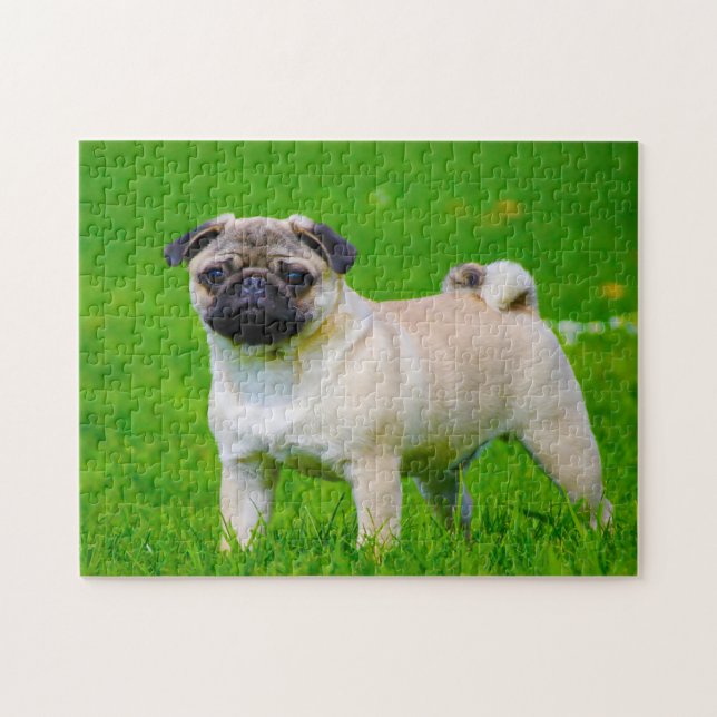 Quebra-cabeça Cães Pug. (Horizontal)